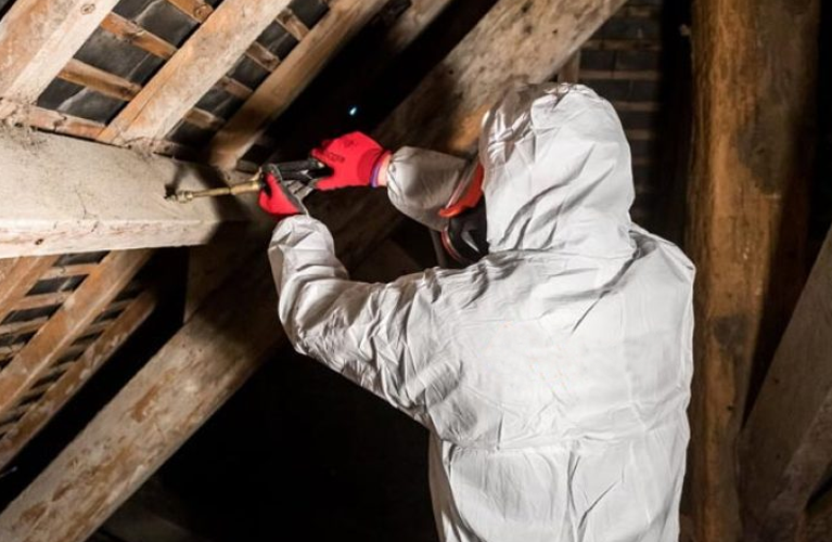 Vaincre insectes xylophages Haute-Savoie