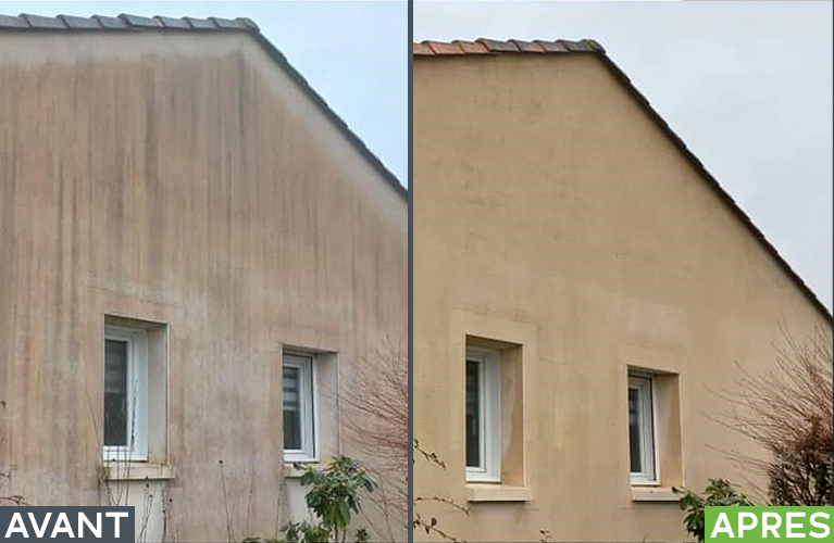 Entretien de murs Haute-Savoie