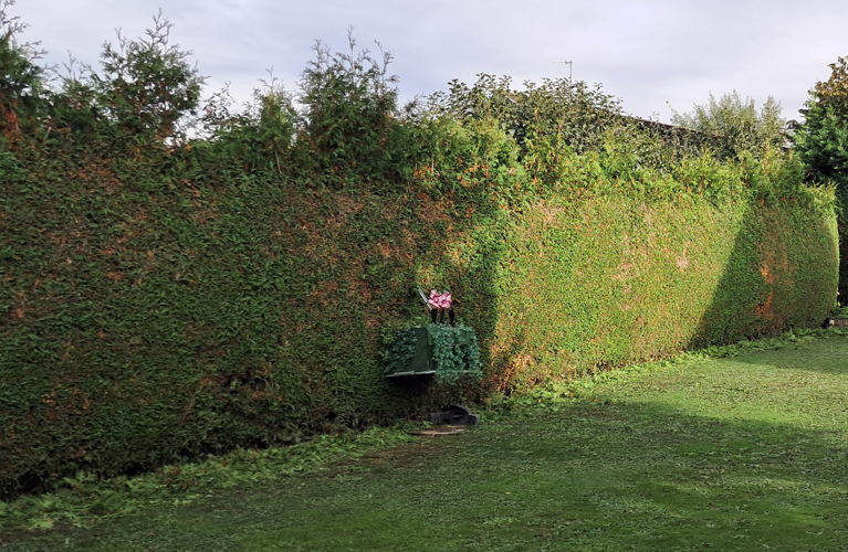 Entretien jardin Haute-Savoie