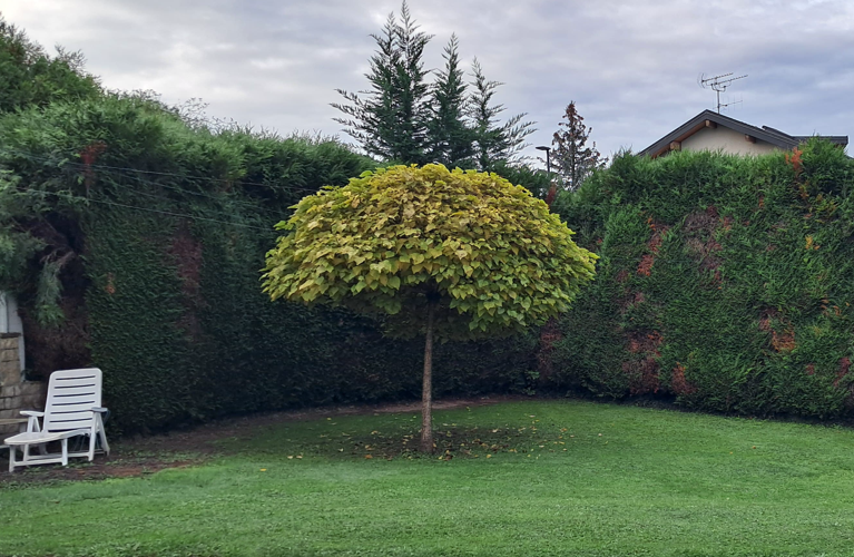 Services jardinage Haute-Savoie