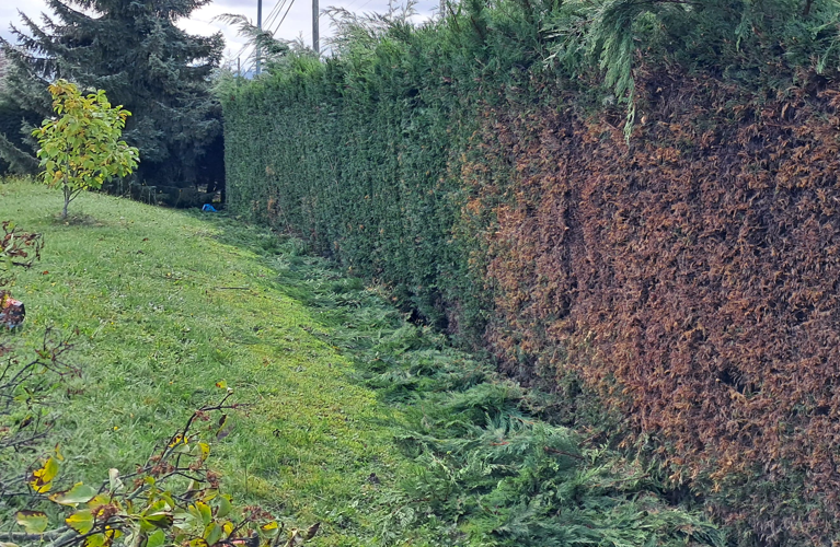 Entretien terrains Haute-Savoie