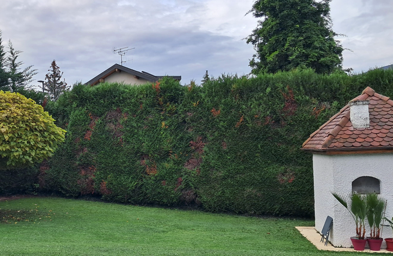 Entretien pelouses Haute-Savoie