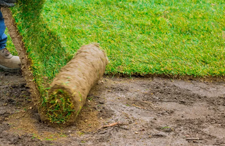 Installations paysagères Haute-Savoie