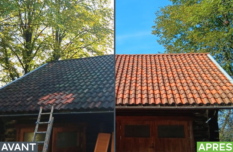 Entretien toiture Haute-Savoie