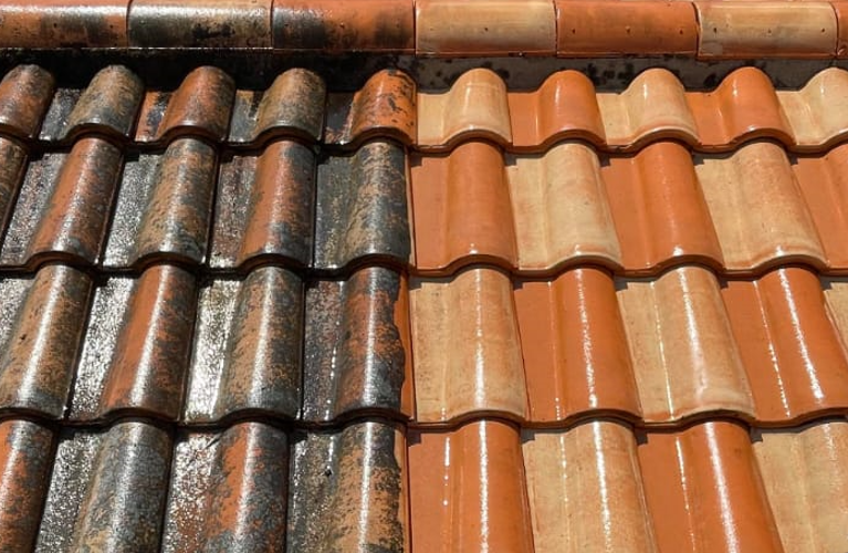 Nettoyage toiture Haute-Savoie