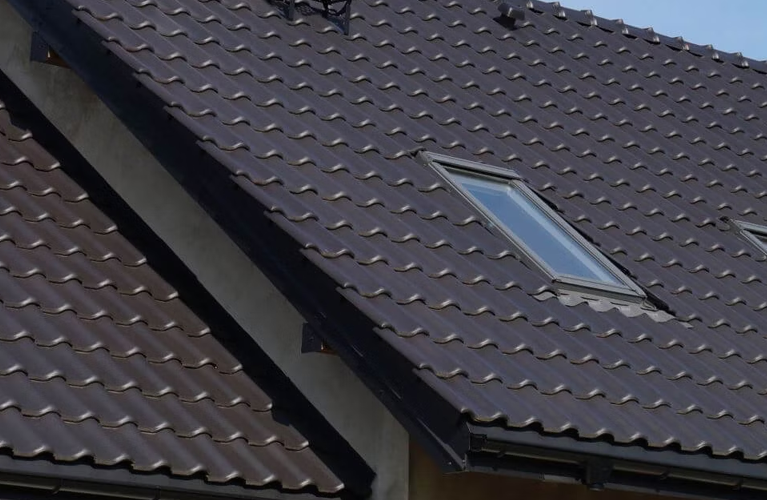 Entretien toiture Haute-Savoie